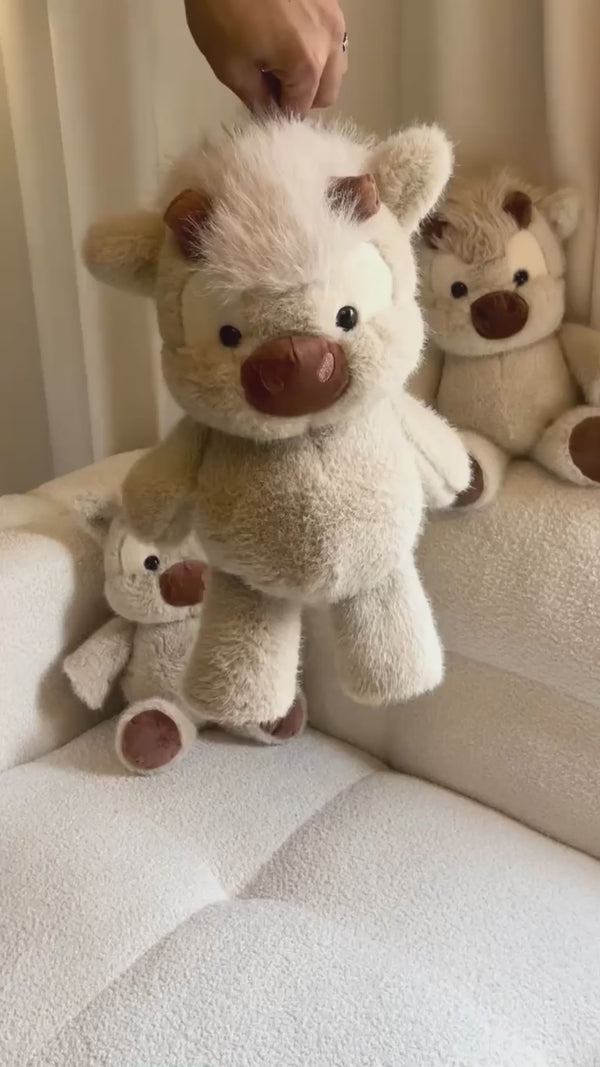Customer video